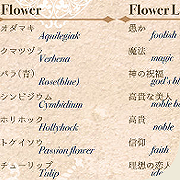guide(Major2)